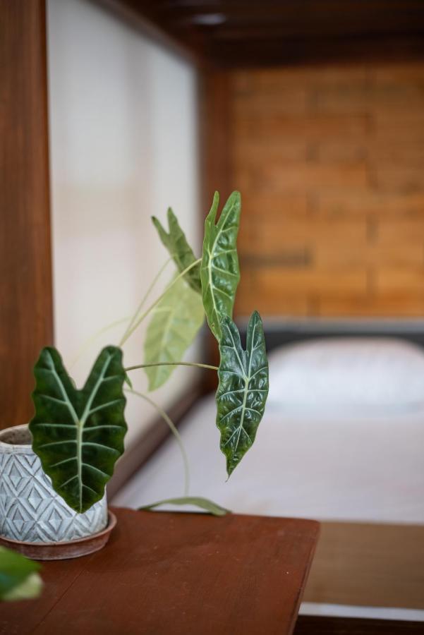 Casa Sabina Bacalar Hotel Ngoại thất bức ảnh